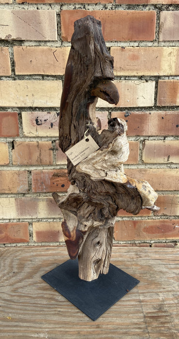 DRIFTWOOD AND IRON EAGLE SCULPTURE BY BONIFACE CHIKWENHERE DEC. 2009
