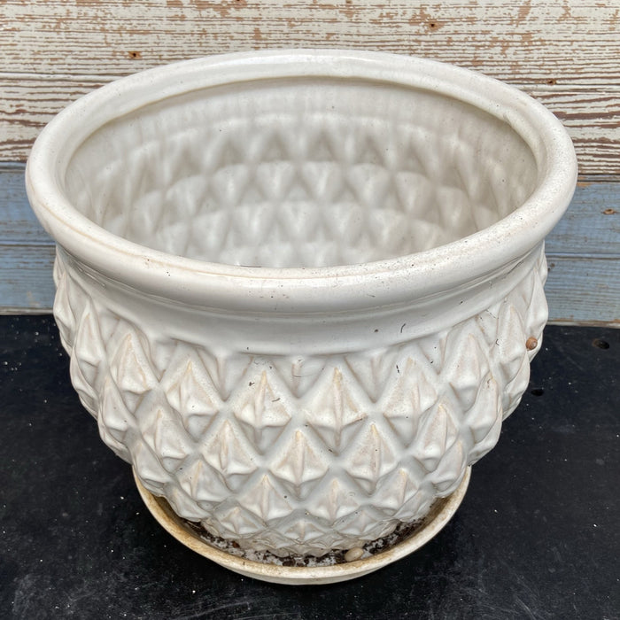 SMALL POTTERY WHITE DIAMOND PATTERN PLANTER